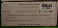 Image Associated With the Occurence